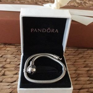 Pandora charm bracelet